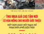 cong ty thu mua phe lieu dai thanh
